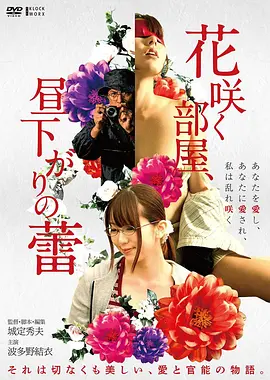 影视飓风 电影推荐